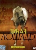 Дикая лошадь (1998)